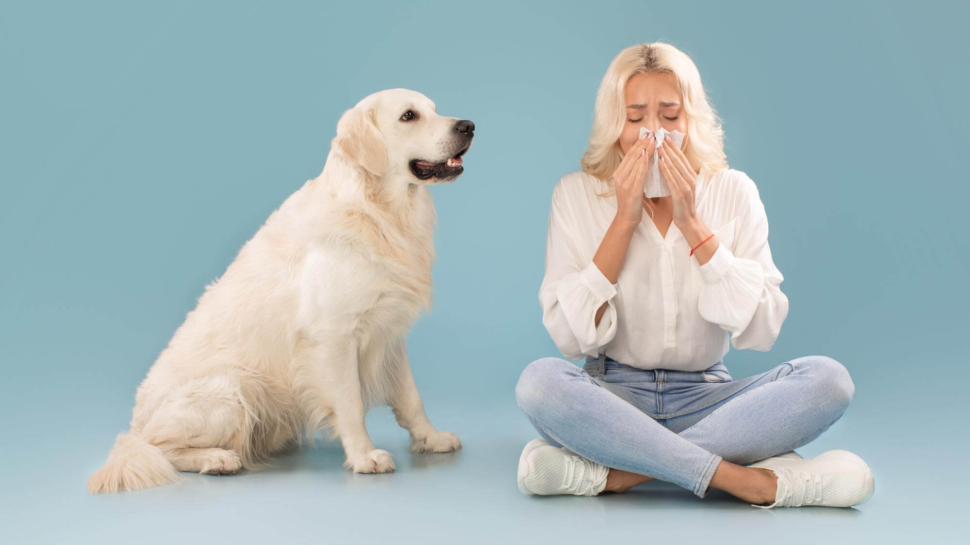 dog allergy symptoms