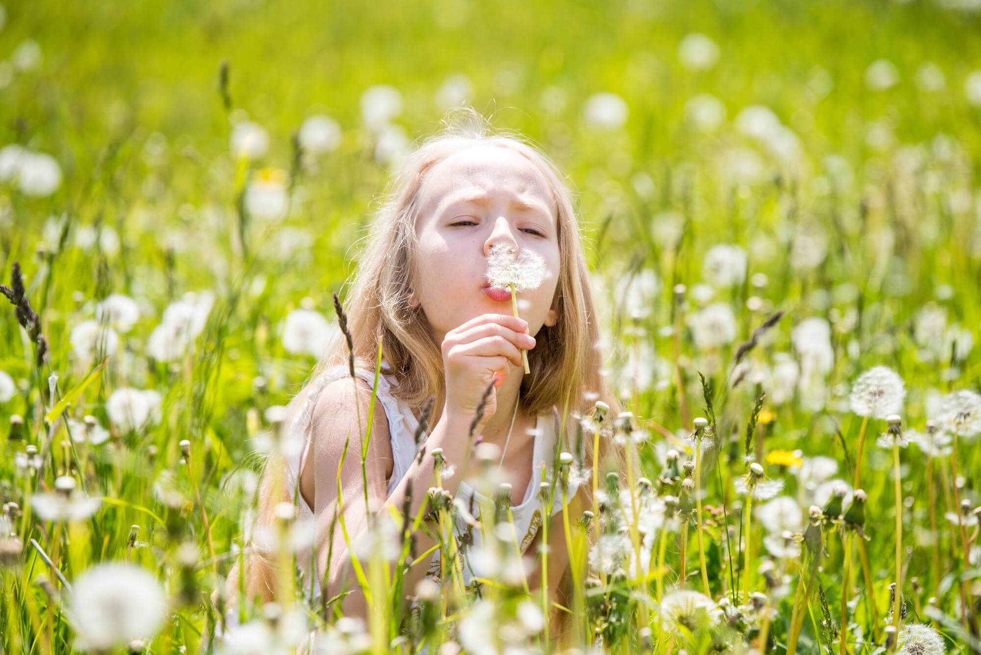 grass allergy in children