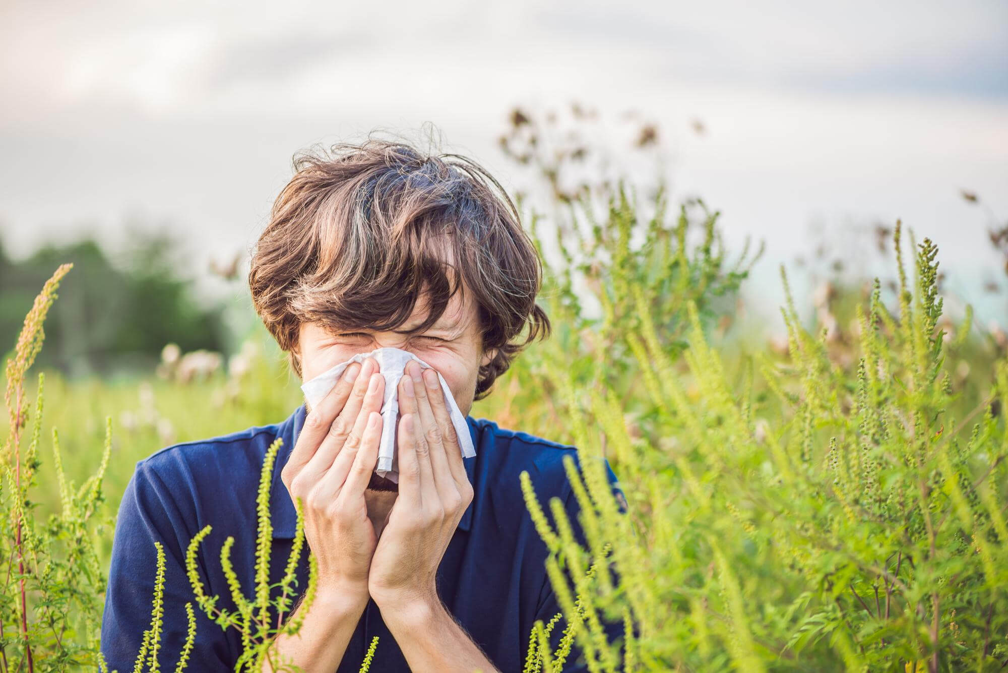 grass allergy symptoms