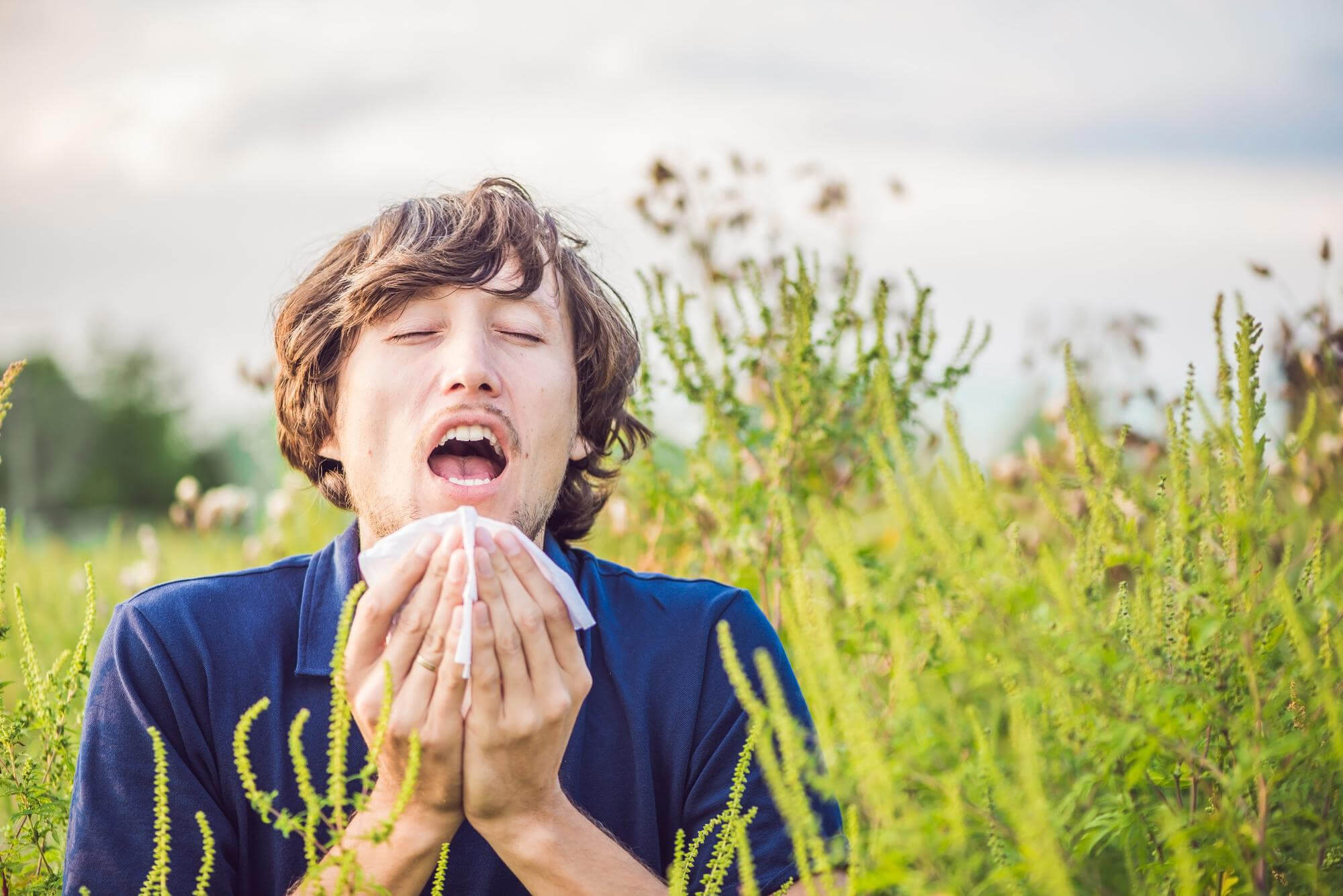 ragweed allergy symptoms