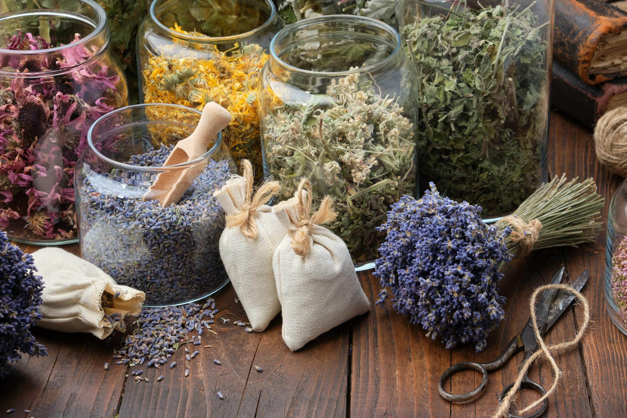 cleansing herbs