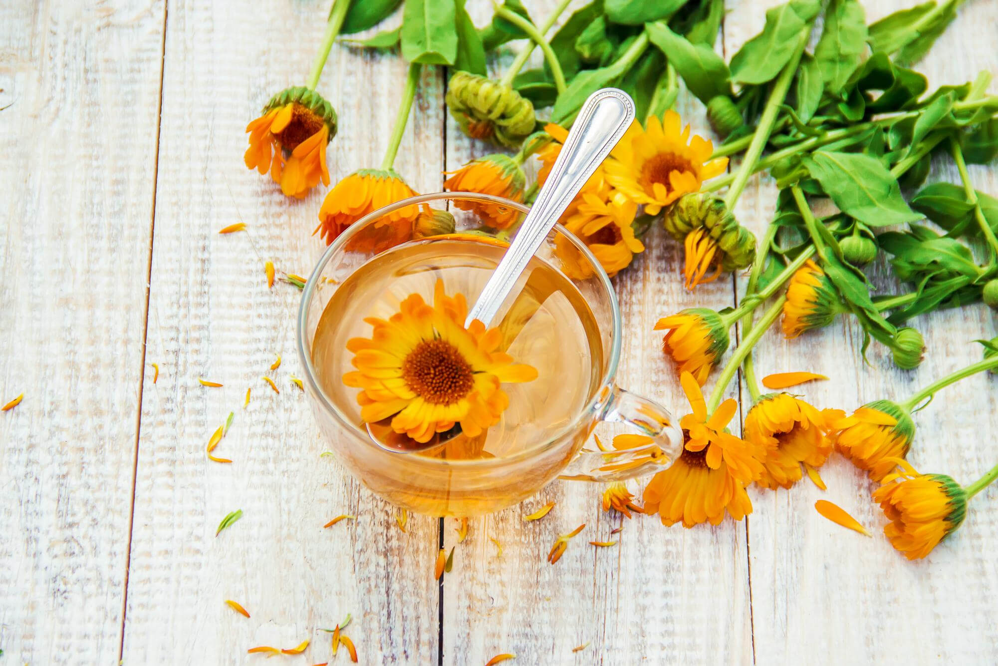 Calendula decoction for urticaria