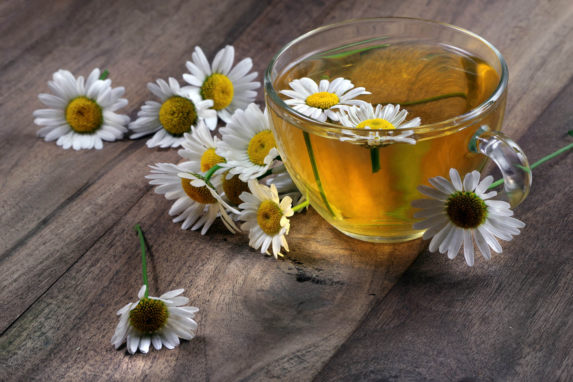 chamomile tea for allergies