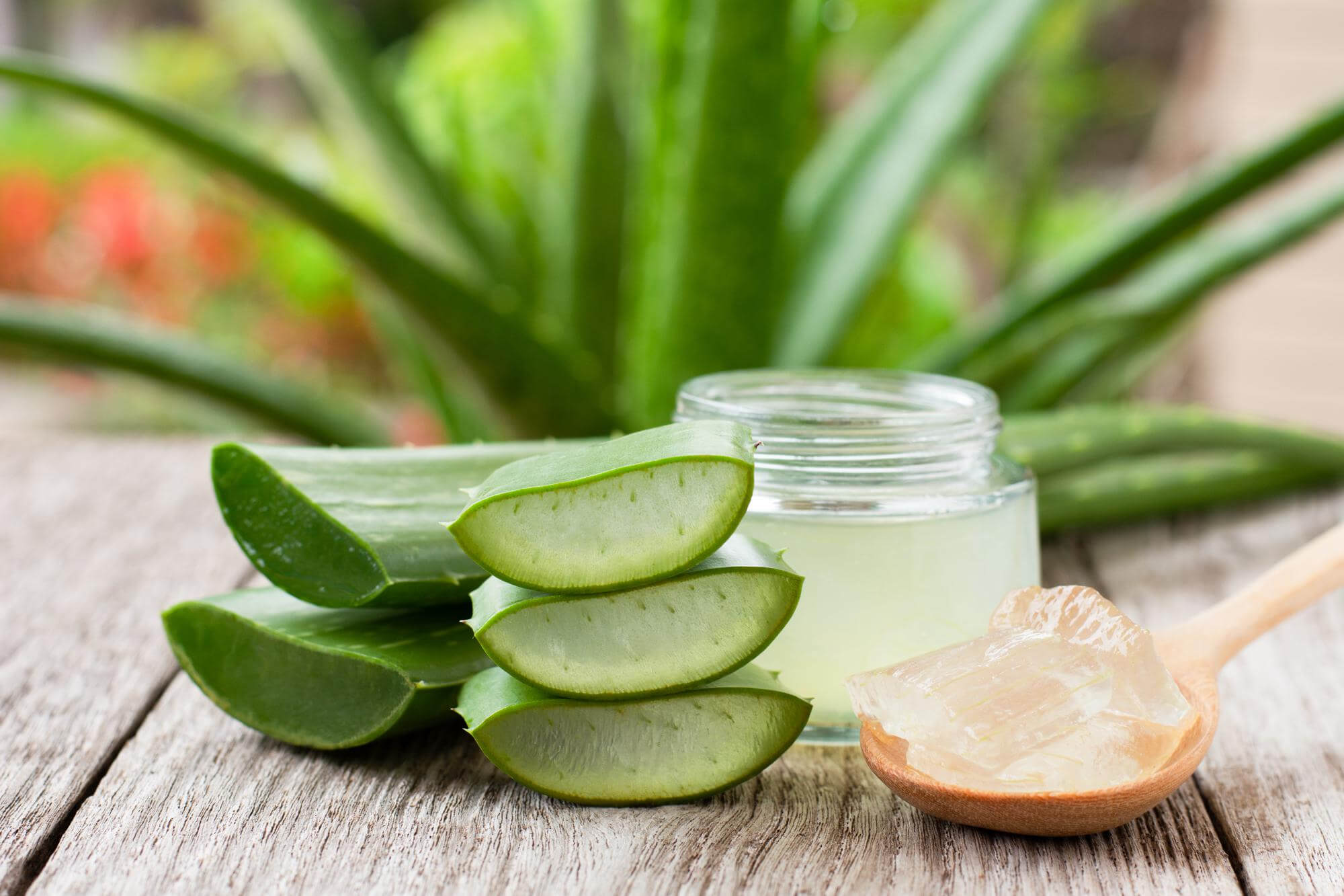 eczema treatment with aloe