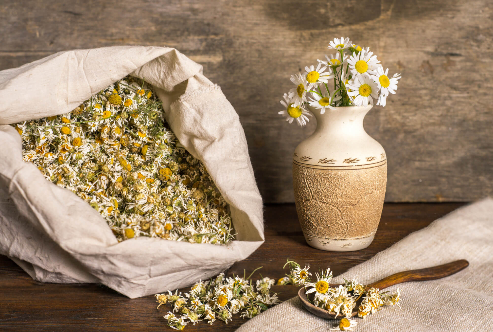 phytotherapy for allergies