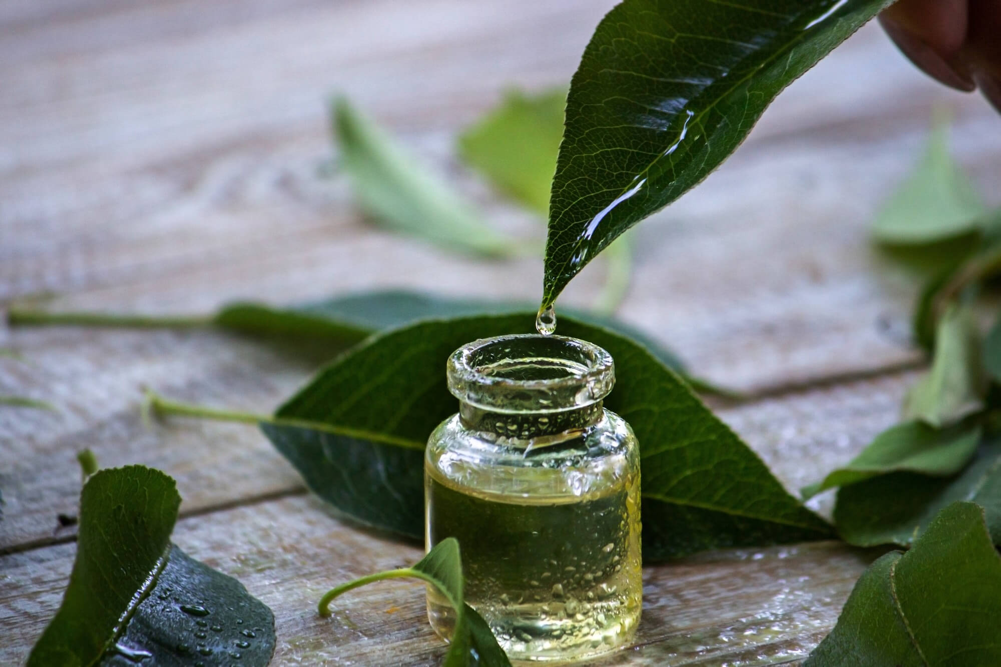 tea tree oil for eczema