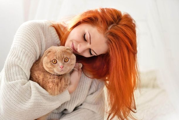 Medications for cat allergies