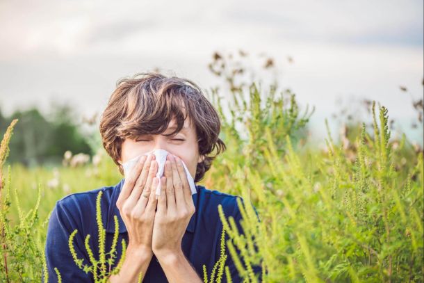 ragweed allergy